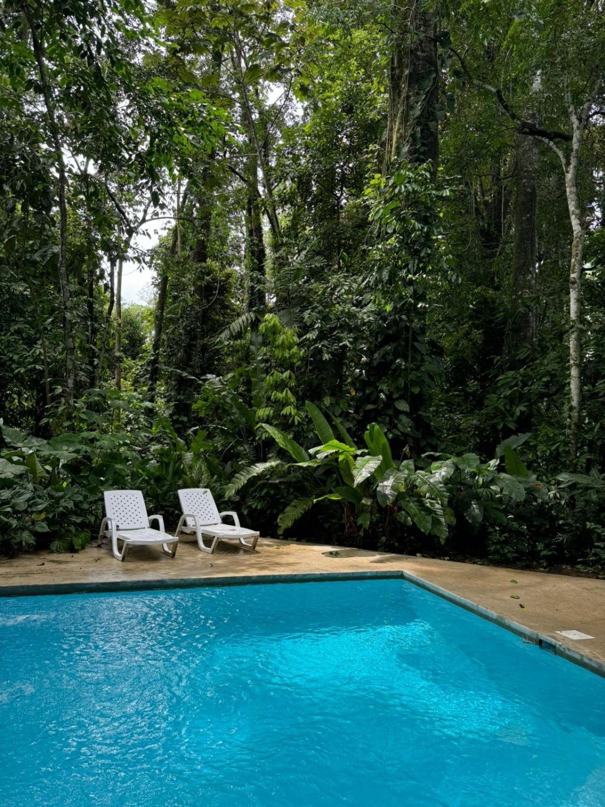 De La Luz Conga Holiday home